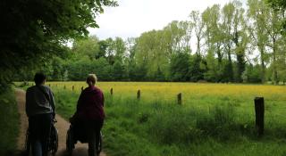 Wandelen in Zevenbergenbos